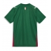 Palmeiras Domácí Dres 2026-27 Krátkým Rukávem